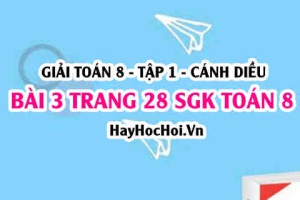 Giải bài 3 trang 28 Toán 8 Tập 1 SGK Cánh Diều
